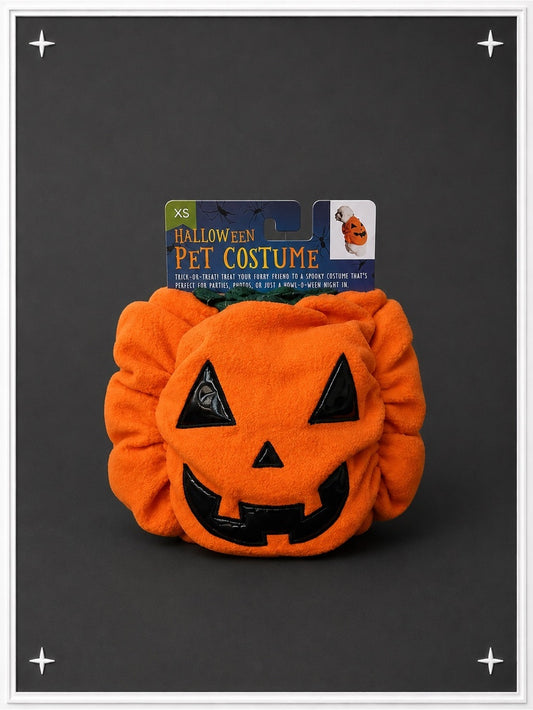Jack O’ Lantern Halloween Pet Costume | XS [NWT]