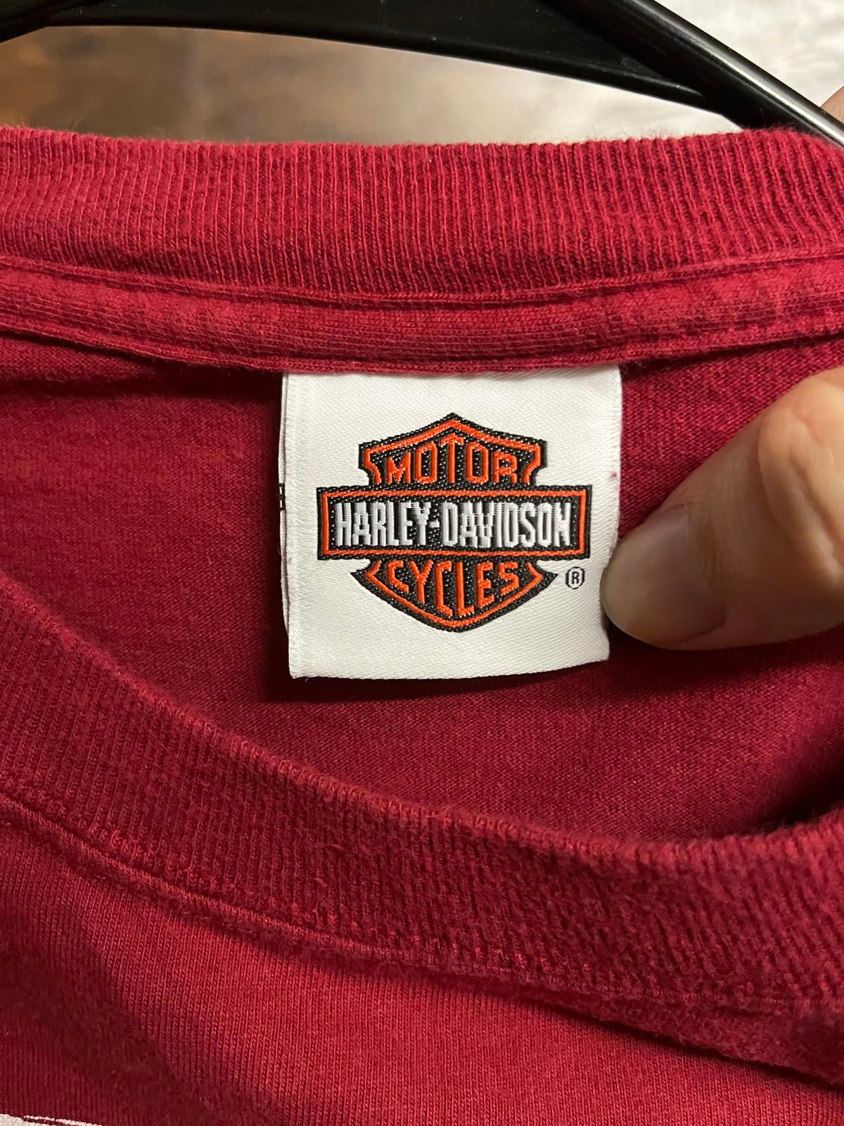 Vintage Harley Davidson Red Rock Las Vegas Tee